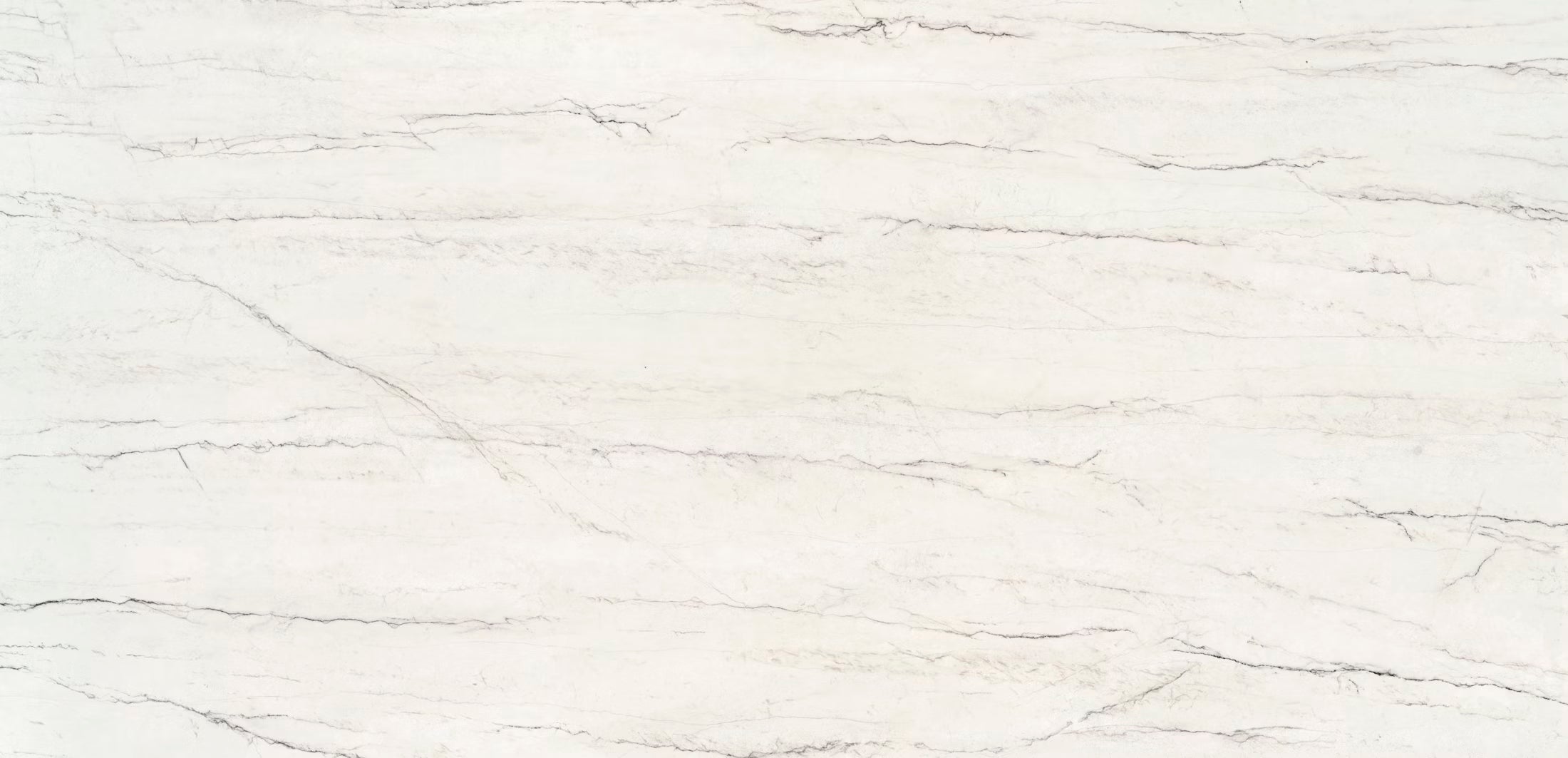 ECLOS IVORA 2CM FORMAT 128.74 x 62.60 in